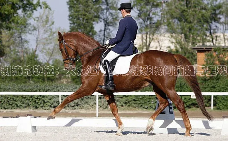 潮流的轨迹：大众运动赛事精彩瞬间捕捉与呈现